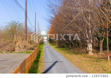 埼玉縣河口市芝川第一規範池附近，2025年12月 134572842