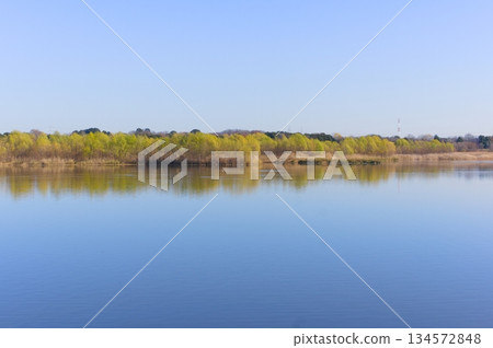 埼玉縣河口市芝川第一規範池附近，2025年12月 134572848