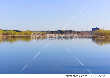 埼玉縣河口市芝川第一規範池附近,2025年12月 埼玉縣河口市芝川第一規範池附近,2025年12月 134572849