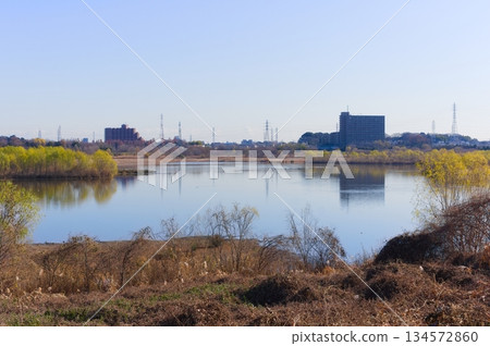 埼玉縣河口市芝川第一規範池附近,2025年12月 埼玉縣河口市芝川第一規範池附近,2025年12月 134572860