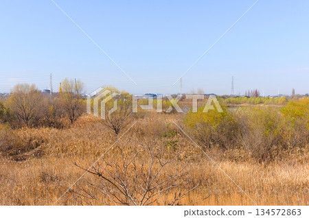 Around Shibakawa First Regulation Pond, Kawaguchi City, Saitama Prefecture December 2025 Around Shibakawa First Regulation Pond, Kawaguchi City, Saitama Prefecture December 2025 134572863