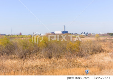 埼玉縣河口市芝川第一規範池附近,2025年12月 埼玉縣河口市芝川第一規範池附近,2025年12月 134572864