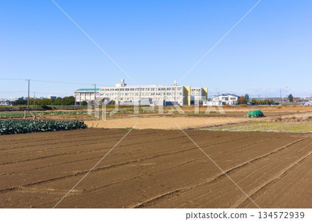 Around Yagiri Ferry, Matsudo City, Chiba Prefecture December 2025 Around Yagiri Ferry, Matsudo City, Chiba Prefecture December 2025 134572939