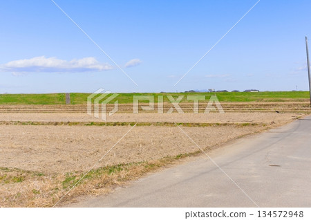 2025年12月，千葉縣柏市利根運河週邊地區 134572948