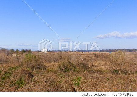 Around the Tone Canal in Kashiwa City, Chiba Prefecture December 2025 Around the Tone Canal in Kashiwa City, Chiba Prefecture December 2025 134572953