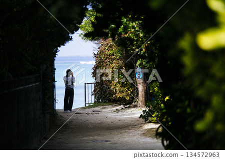 The way to the sea The way to the sea 134572963