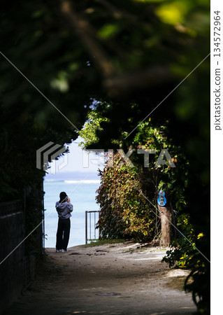 The way to the sea The way to the sea 134572964