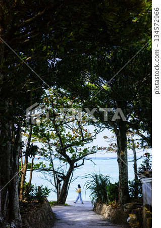 The way to the sea The way to the sea 134572966