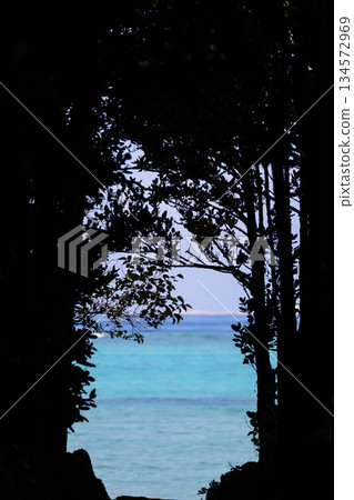 The way to the sea 134572969