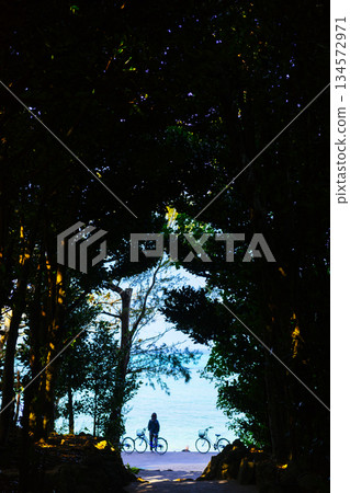 The way to the sea 134572971