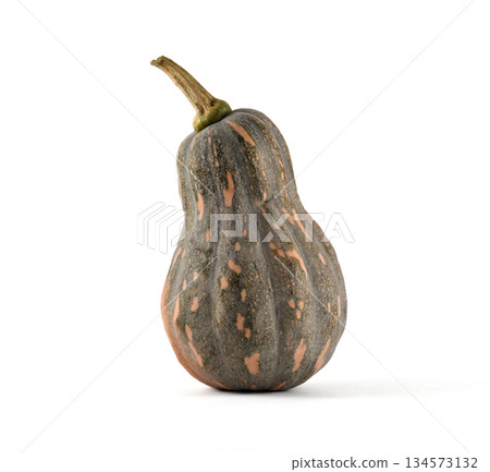 long pumpkin isolated on white background long pumpkin isolated on white background 134573132