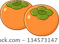 Two cartoon persimmons drawing 134573147