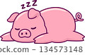 Cute cartoon sleeping pig drawing 134573148