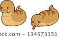 Tsuchinoko cute cartoon Japanese snake monster drawing 134573151