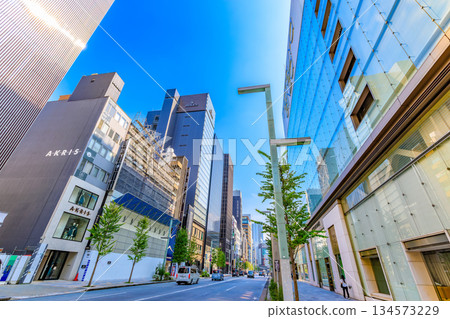 Tokyo, Chuo Ward, Ginza cityscape, near the Ginza 3-chome intersection 134573229