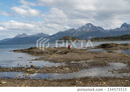 Hiker walking across rocky tidal flats of Beagle Channel, Tierra del Fuego Hiker walking across rocky tidal flats of Beagle Channel, Tierra del Fuego 134573515