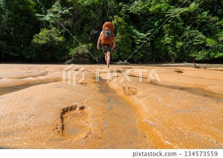 Barefoot hiker leaving footprints on wet sand, Abel Tasman, NZ 134573559
