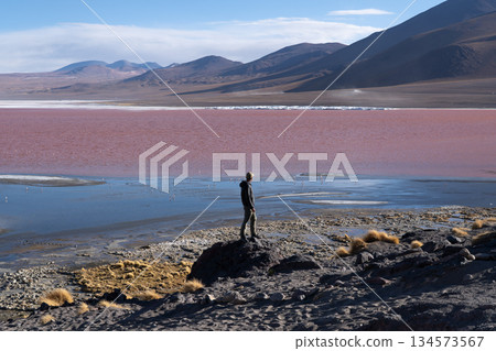Hiker standing by vivid pink Laguna Colorada in Bolivian Andes, Altiplano Hiker standing by vivid pink Laguna Colorada in Bolivian Andes, Altiplano 134573567