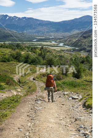 Hiker walking rugged trail toward Seron campsite, Torres del Paine, Chile 134573568