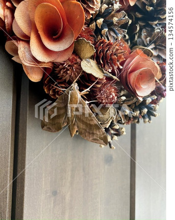 A car sparrow perched on a wreath 134574156