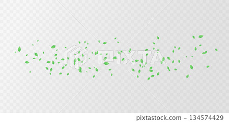 Green leaves pattern Green leaves pattern 134574429