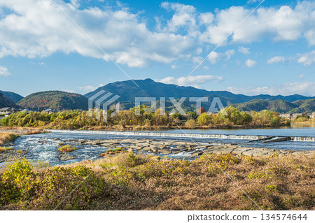 京都桂川二之井堰的冬季景色 134574644