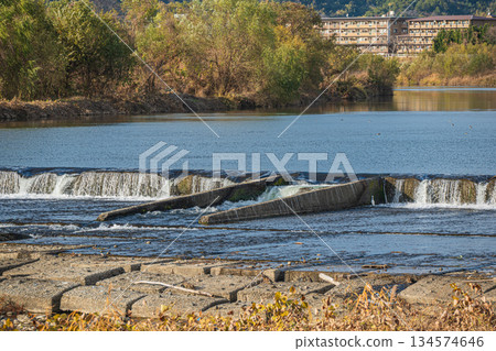 京都桂川二之井堰的冬季景色 134574646