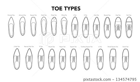 Toe types diagram single line pair. Pointed, almond, square shell shapes for learning, professional reference design Toe types diagram single line pair. Pointed, almond, square shell shapes for learning, professional reference design 134574795