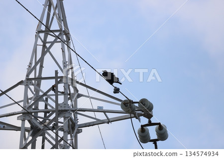 A crow perched on a steel tower A crow perched on a steel tower 134574934
