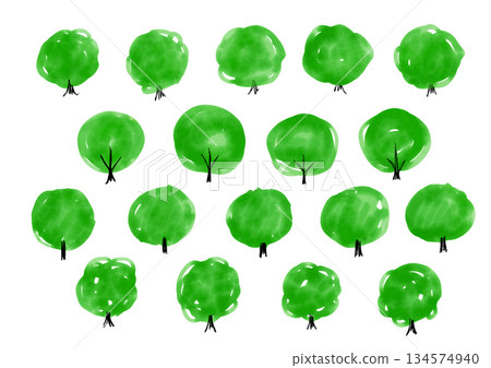 手繪樹木插圖集 134574940
