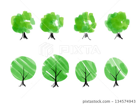 手繪樹木插圖集 134574943