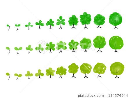 Hand-drawn sprout illustration set 134574944