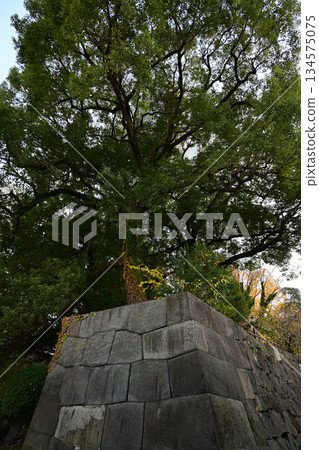 The remains of Edo Castle's Hibiya Mitsuke ruins, in Hibiya Park 134575075