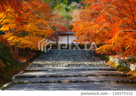 馬場上的黃葉（尼森寺）_2998 134575152