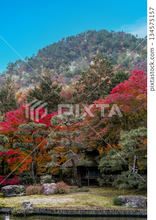 Autumn in Kyoto (Shozan)_Σ0332 134575157