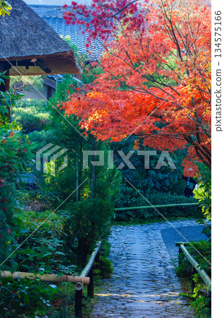 Koetsuji Temple_3933 134575166