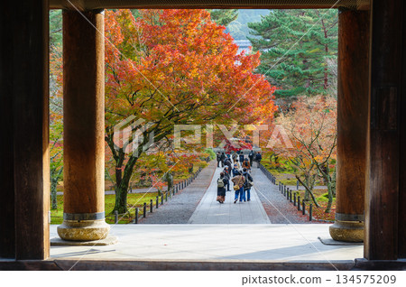 南禪寺三門_3926 134575209