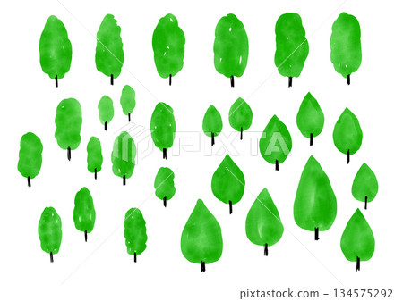 水彩樹手繪插圖套裝 134575292