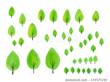 彩色樹木水彩插畫集 134575293