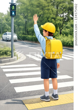 Elementary school student crossing a pedestrian crossing 134575402