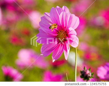 有宇宙的風景 有宇宙的風景 134575755