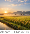 Sunset over rice terraces 134576107