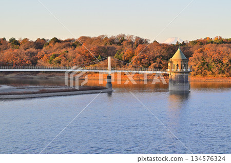 Lake Sayama, water intake tower, Mt. Fuji, morning glow view from the lakeside 134576324