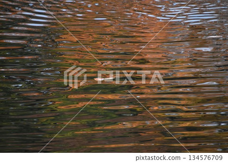 Orange background material based on ripples on the water surface Orange background material based on ripples on the water surface 134576709