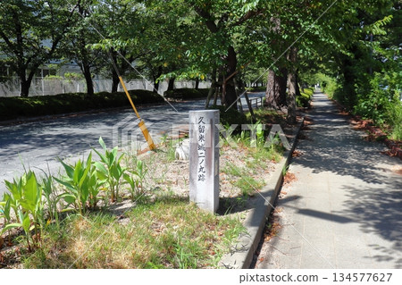 Kurume Castle Ninomaru Ruins 134577627