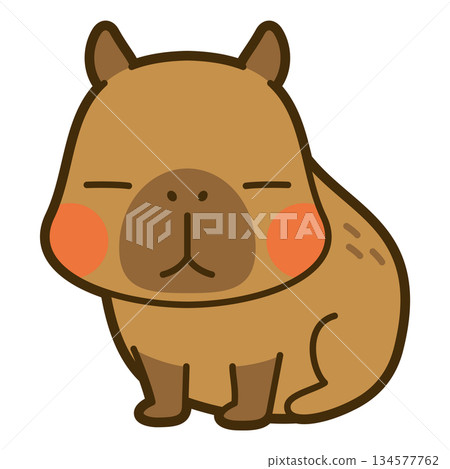 可愛的水豚插圖 可愛的水豚插圖 134577762