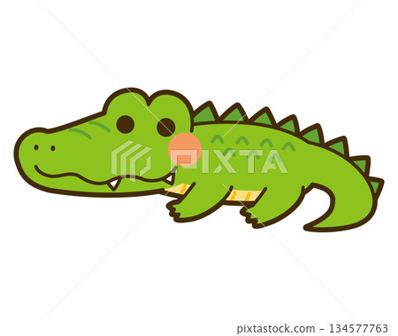 可愛的鱷魚圖 134577763
