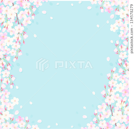 Cherry blossom and blue sky background illustration Cherry blossom and blue sky background illustration 134578279