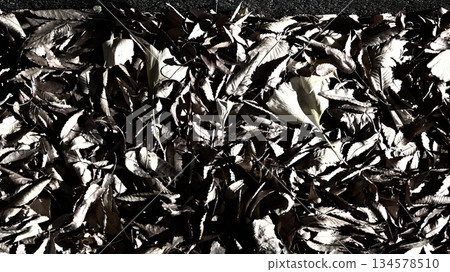落葉 134578510