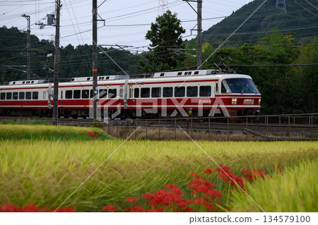 Higankyana and train 134579100